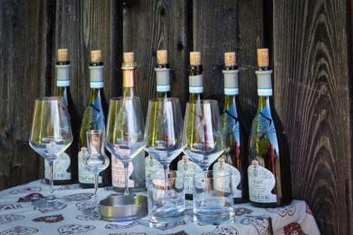 A bortermesztés alapjai: Ismerkedés a szőlőültetvényekkel és a borkészítés folyamatával